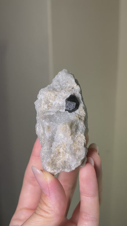 Black Quartz on Anhydrite - Reggio Emilia, Italy