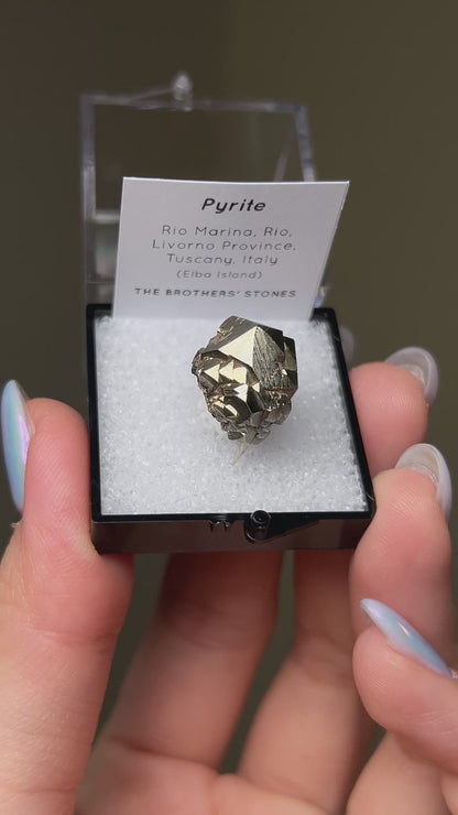 Pyrite - Elba Island, Italy
