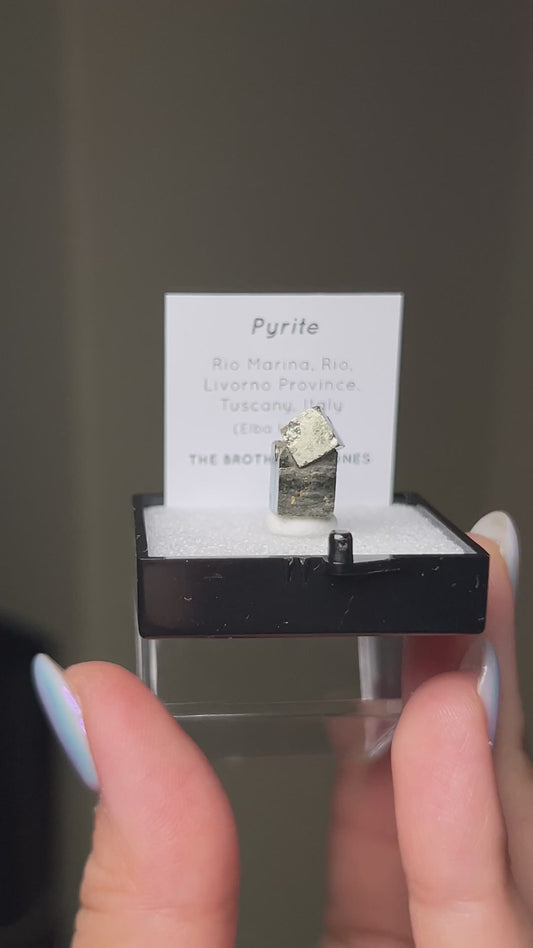 黃鐵礦 - 義大利厄爾巴島