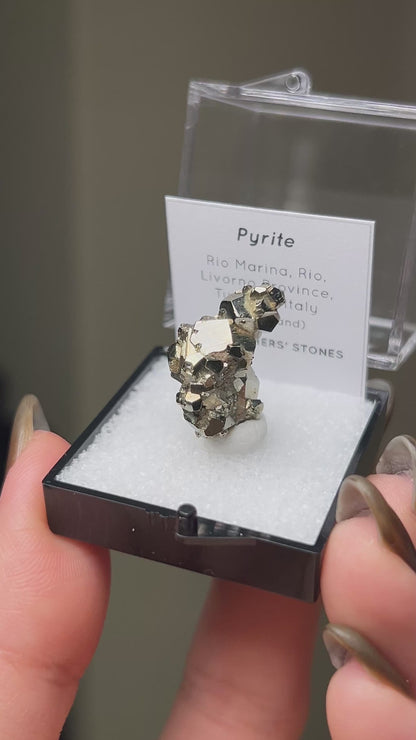 Pyrite - Elba Island, Italy