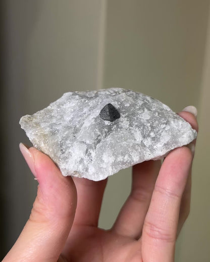 Black Quartz on Anhydrite