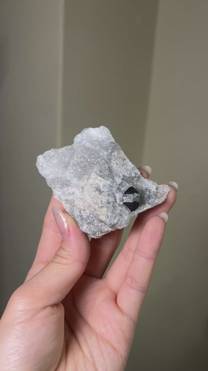 稀有罕見的義大利雙尖黑水晶 Rare black quartz specimen on anhydrite, featuring double-terminated quartz crystals with graphite inclusions from Italy.