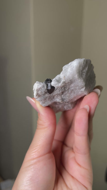 稀有罕見的義大利雙尖黑水晶 Rare black quartz specimen on anhydrite, featuring double-terminated quartz crystals with graphite inclusions from Italy.