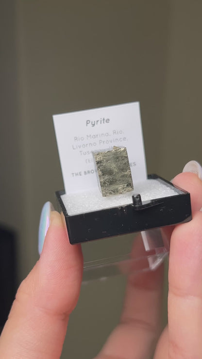 黃鐵礦 - 義大利厄爾巴島