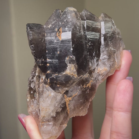 罕見的波士尼亞煙晶 smoky quartz from rare locality Bosnia Herzegovina shows elegant gradient of color and wild structure
