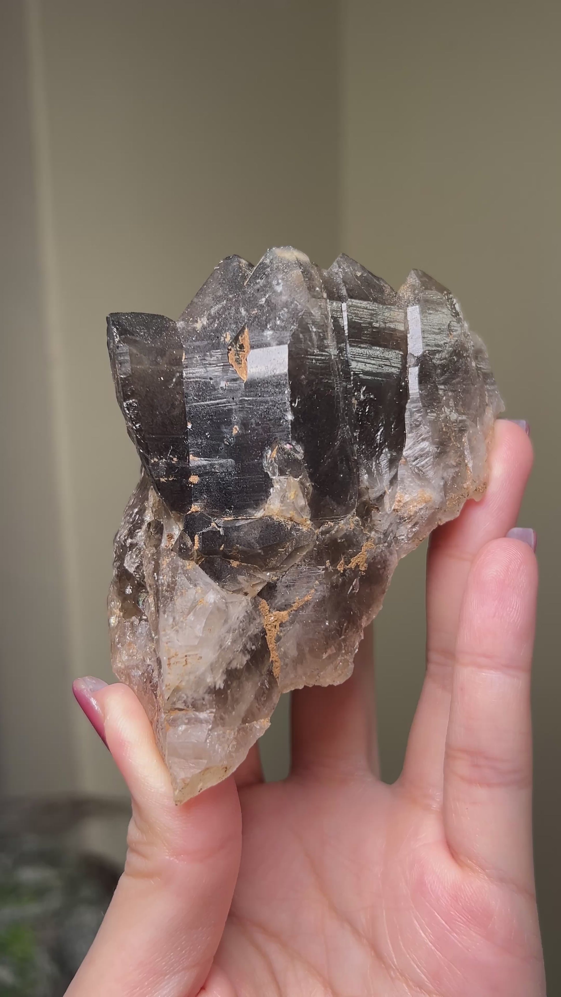 罕見的波士尼亞煙晶 smoky quartz from rare locality Bosnia Herzegovina shows elegant gradient of color and wild structure