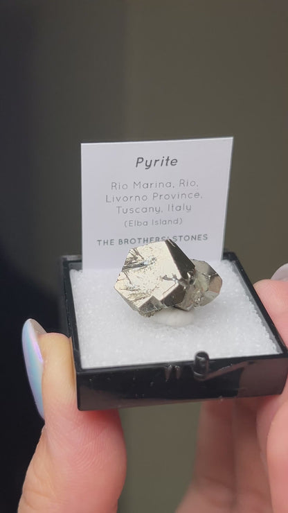 Pyrite - Elba Island, Italy