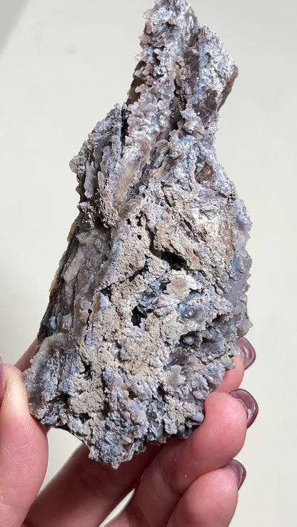 阿爾卑斯木化石藍玉髓 - 義大利