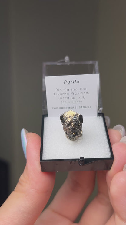 Pyrite - Elba Island, Italy