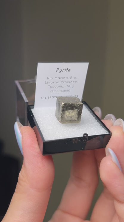 黃鐵礦 - 義大利厄爾巴島