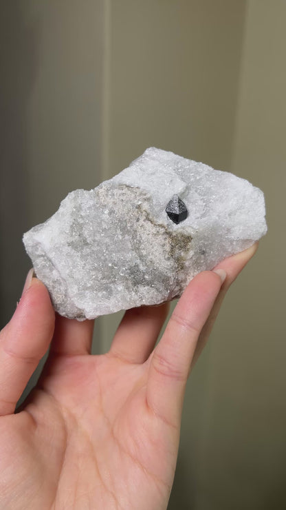 Black Quartz on Anhydrite - Reggio Emilia, Italy