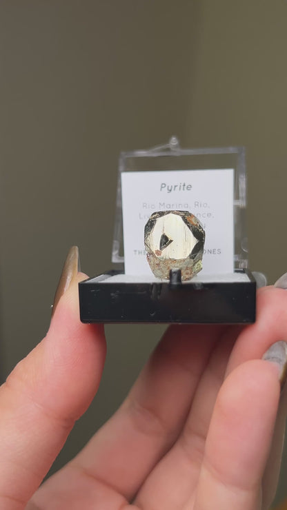 Pyrite - Elba Island, Italy