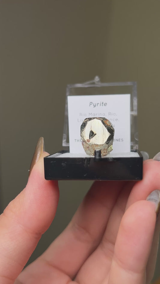 黃鐵礦 - 義大利厄爾巴島