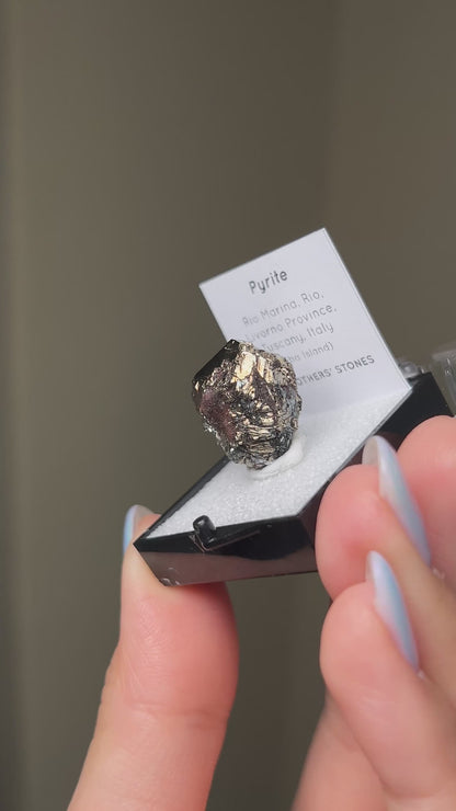 Pyrite - Elba Island, Italy