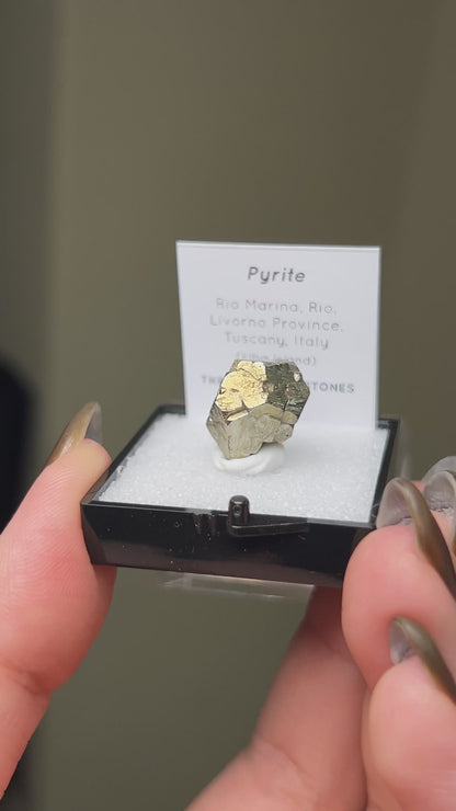 Pyrite - Elba Island, Italy