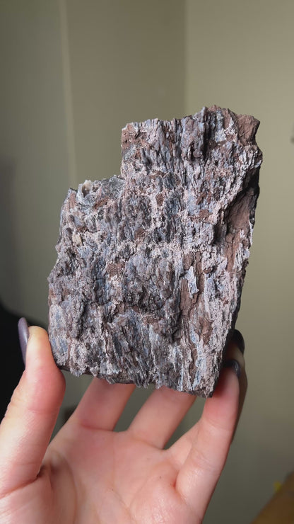 義大利阿爾卑斯木化石藍玉髓