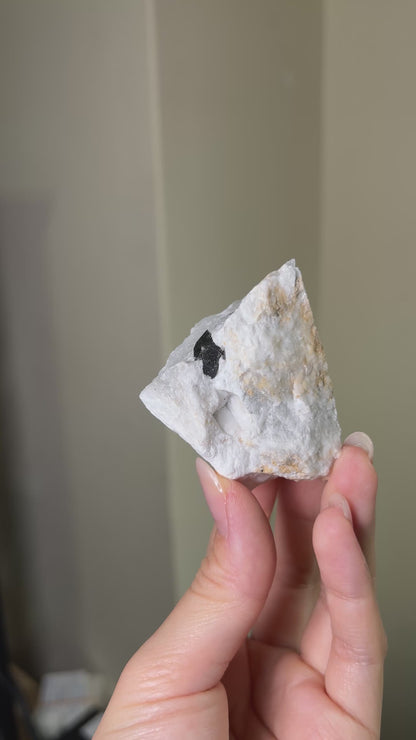 Black Quartz on Anhydrite - Reggio Emilia, Italy