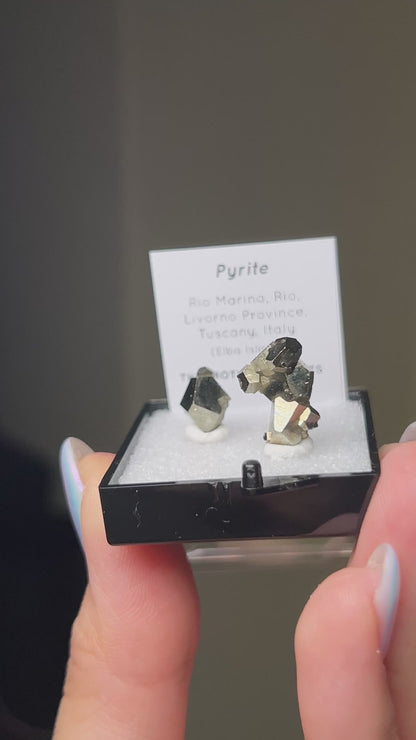 Pyrite - Elba Island, Italy