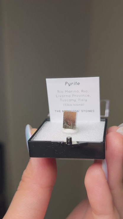 黃鐵礦 - 義大利厄爾巴島