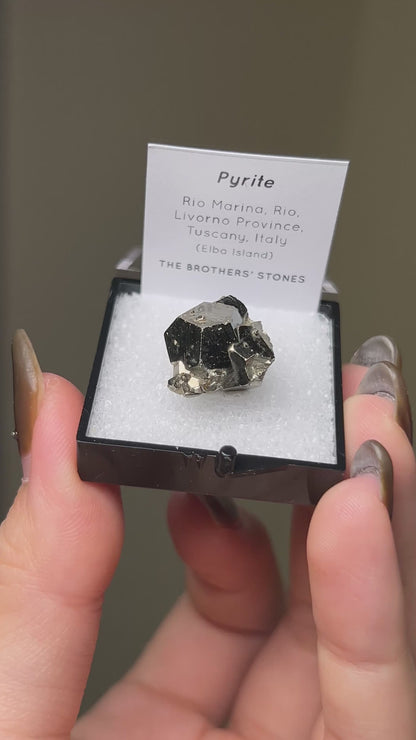 Pyrite - Elba Island, Italy