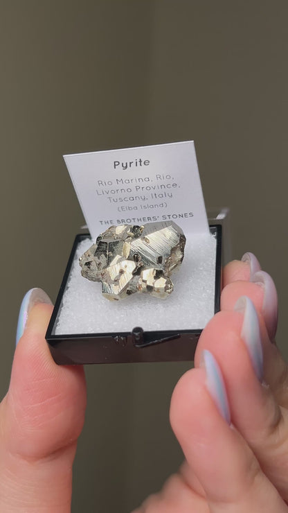 Pyrite - Elba Island, Italy