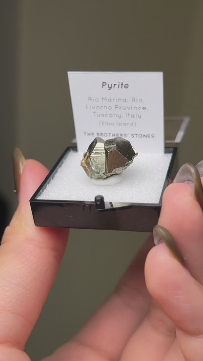 Pyrite - Elba Island, Italy