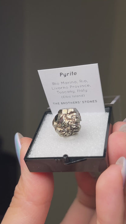 Pyrite - Elba Island, Italy