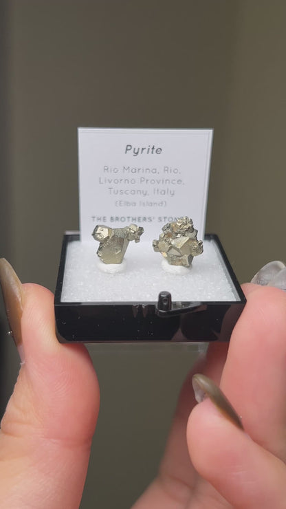 Pyrite - Elba Island, Italy