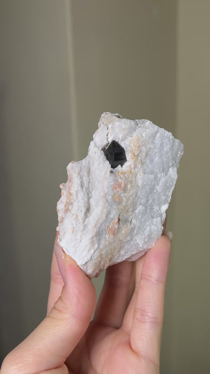 黑水晶硬石膏 - 義大利