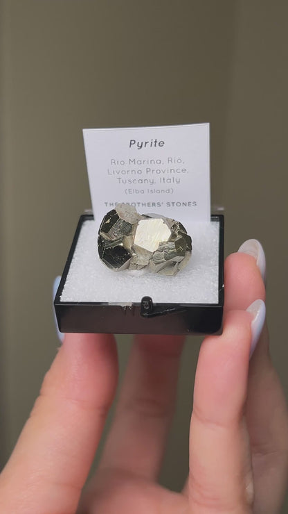 Pyrite - Elba Island, Italy