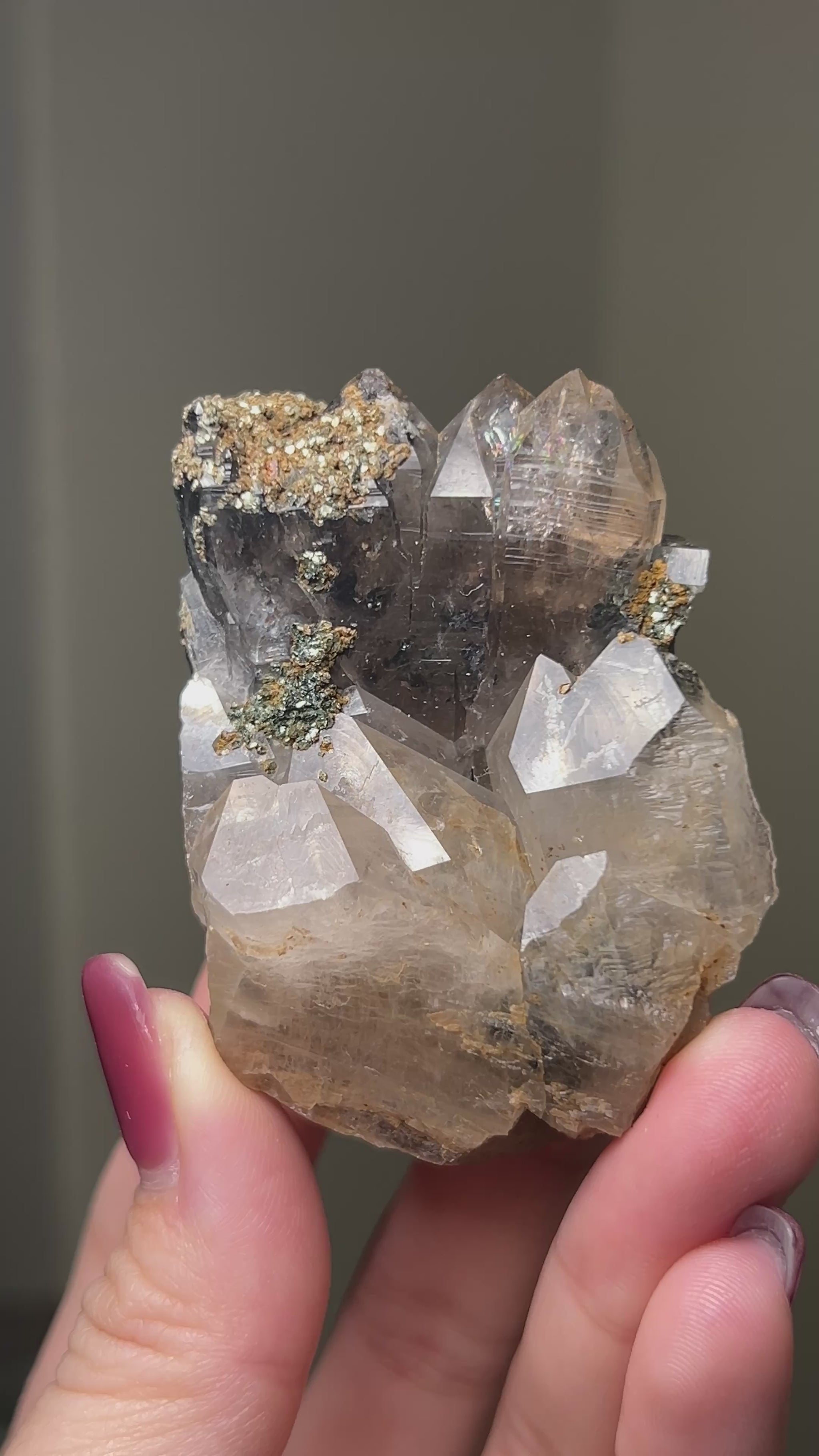 罕見的波士尼亞煙晶 smoky quartz from rare locality Bosnia Herzegovina shows elegant gradient of color and wild structure