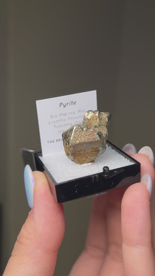 黃鐵礦 - 義大利厄爾巴島