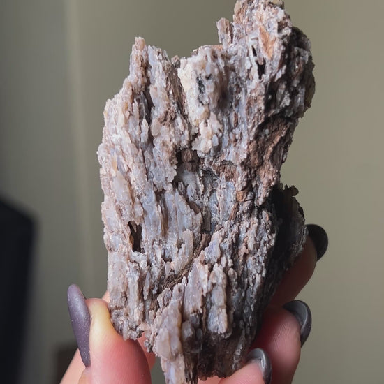 義大利阿爾卑斯木化石共生玉髓rare petrified wood covered with chalcedony features beautiful pale blue hue