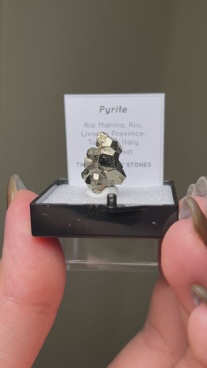 Pyrite - Elba Island, Italy